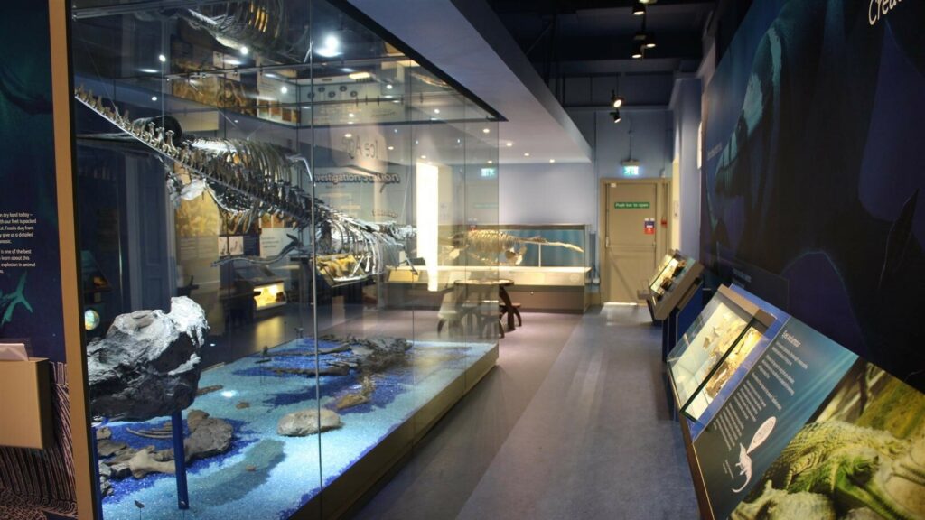 one of the rooms at peterborough museum