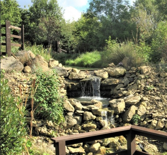 water and nature picture at railworld in peterborough